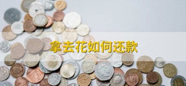 携程拿去花取现查征信吗