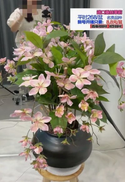 拿去花套现回收商家 平台违法吗