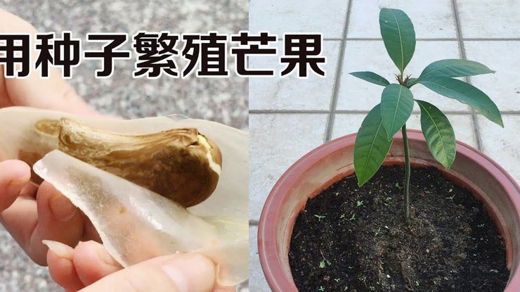 便荔卡取现额度：全攻略