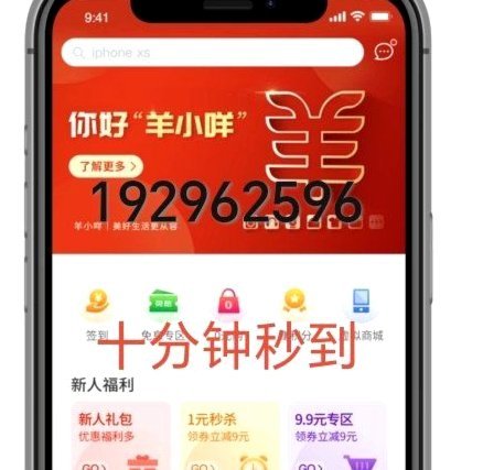 羊小咩额度如何快速提现