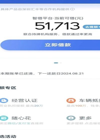 拍拍贷借款用途怎么填