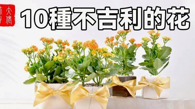 花呗分期专享额度券怎么套现