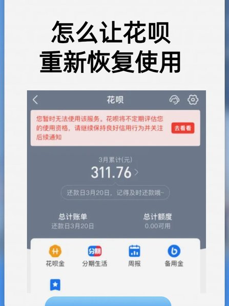 花呗调整并非取消 原因揭秘