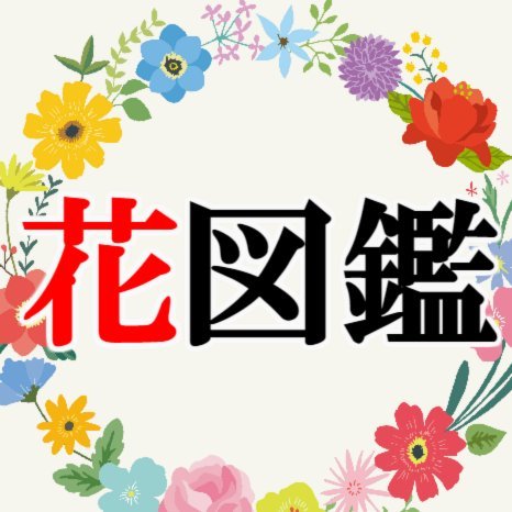 花呗合法合规吗
