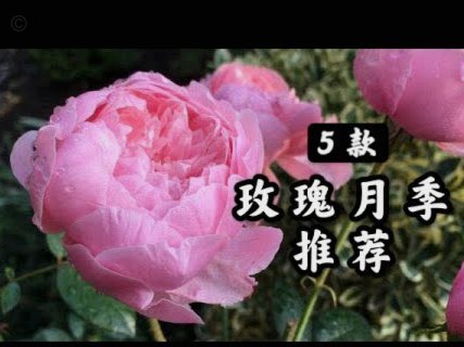 携程拿去花怎么用