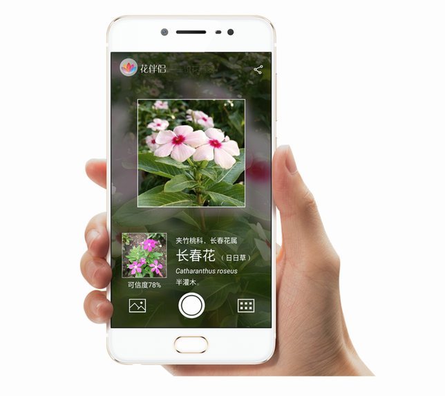 哈银花借款App入口获取指南