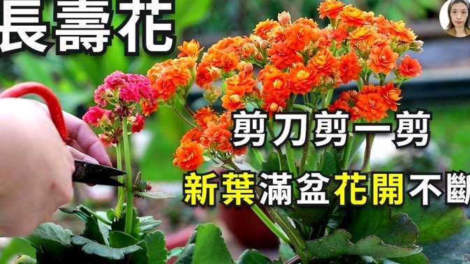 拿去花10000能不能套