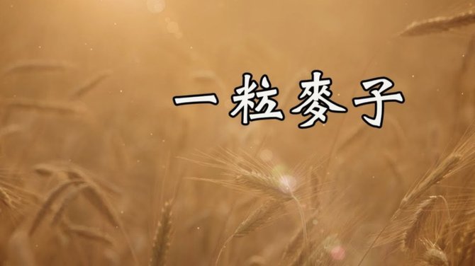 羊小咩秒到怎么操作