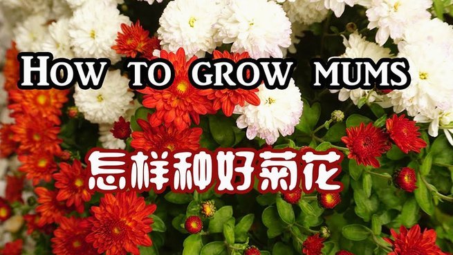携程拿去花提额技巧