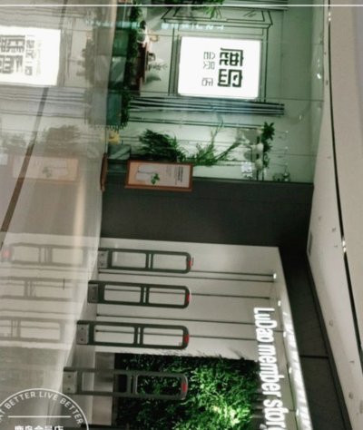 鹿岛会员卡折扣解析：动态调整与权益组合