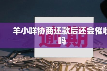 羊小咩平台合规性揭秘