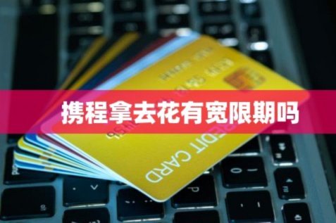 携程拿去花取现能否分期？