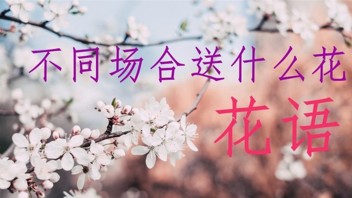 花呗秒套平台怎么样 取消