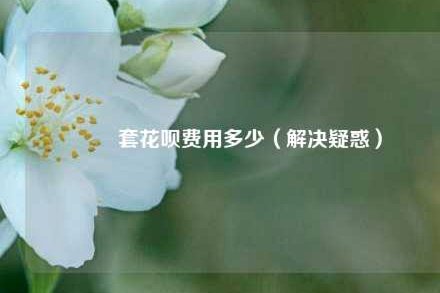套花呗有手续费吗