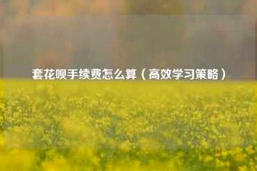 套花呗有手续费吗