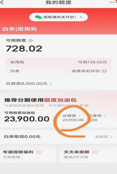 白条提现：新金融机遇