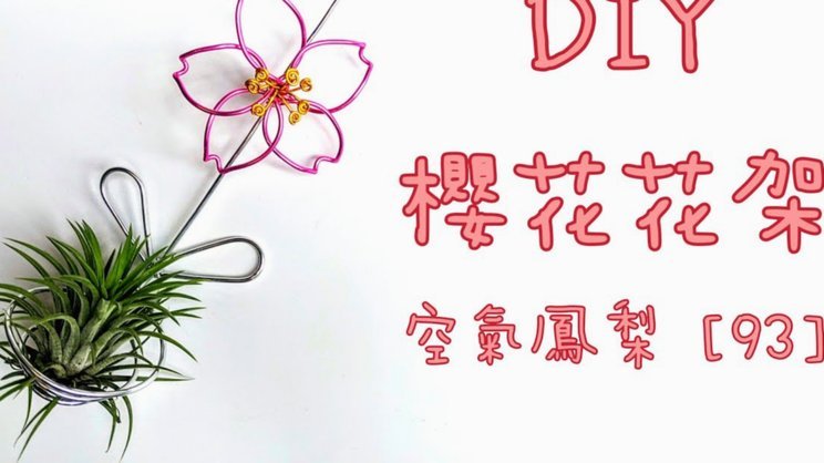 拿去花设计与维护全攻略