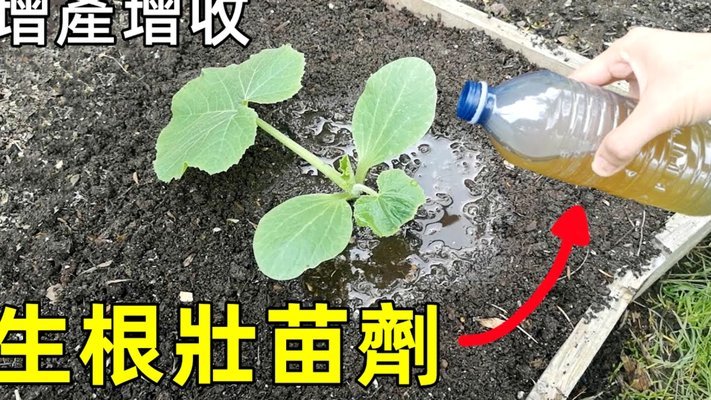 携程拿去花用不了怎么回事