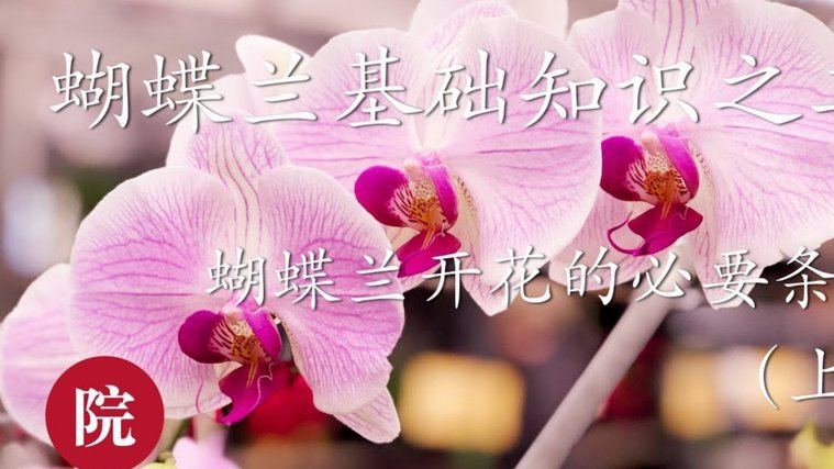 携程拿去花有时能用有时不能用