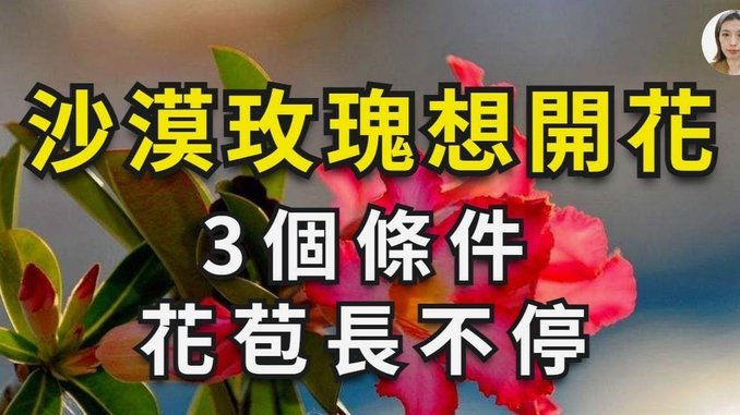 如何合理运用花呗套现