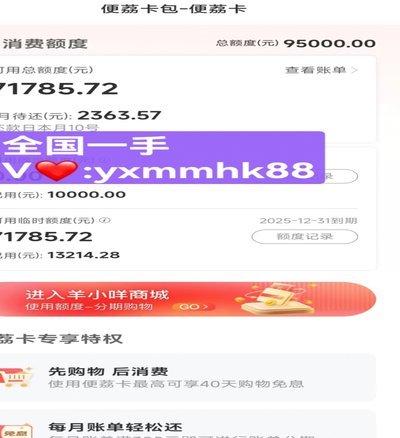 羊小咩如何合理运用消费额度