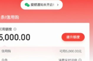 大家用京东白条取现了吗安全吗