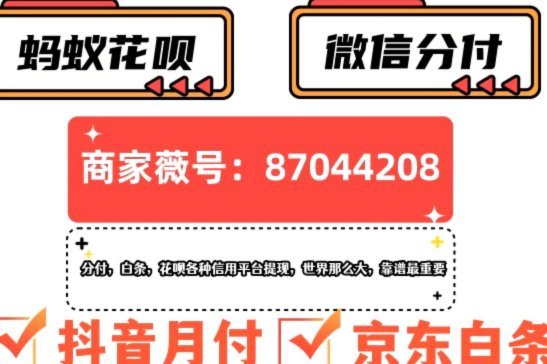 白条怎么套出来 秒付的钱