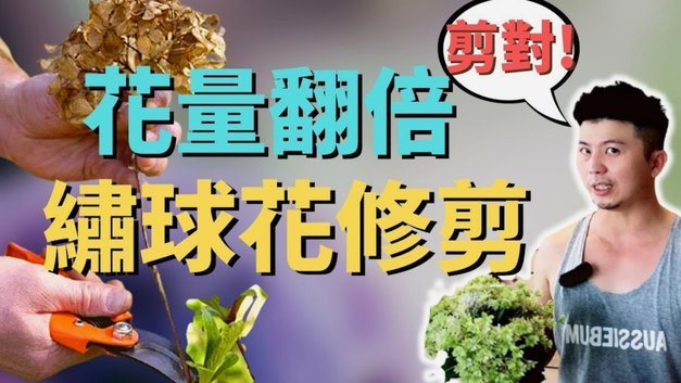 套现花呗的手续费是多少