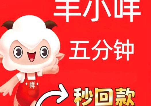 羊小咩高效提取：系统优化与临界点解析