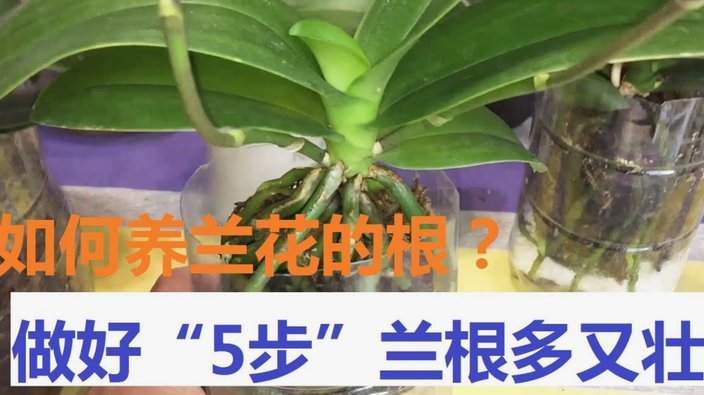 花呗怎么被冻结了呢怎么解冻