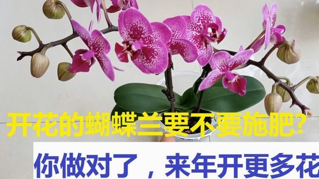 花呗真的正规吗？来看看它的现状吧