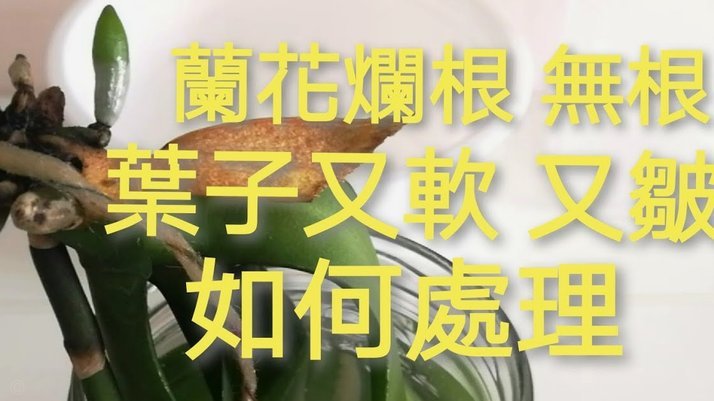 花呗异常背后的原因分析