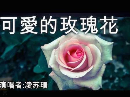 花呗出现异常是什么原因呢