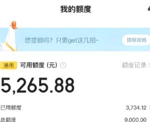 得物商家额度提现遇阻