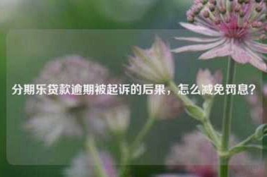 分期乐靠谱吗？ 了解背后的真相