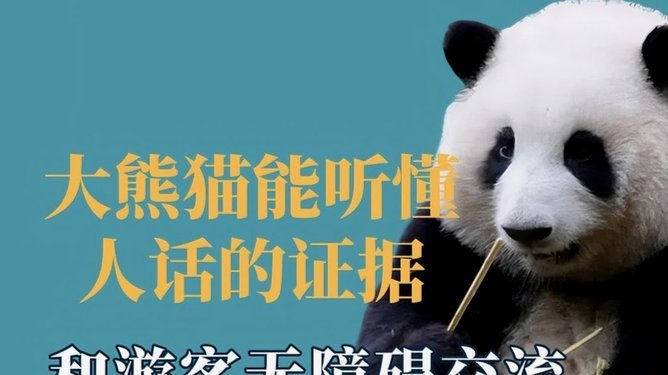 鹿优选能还款减免吗