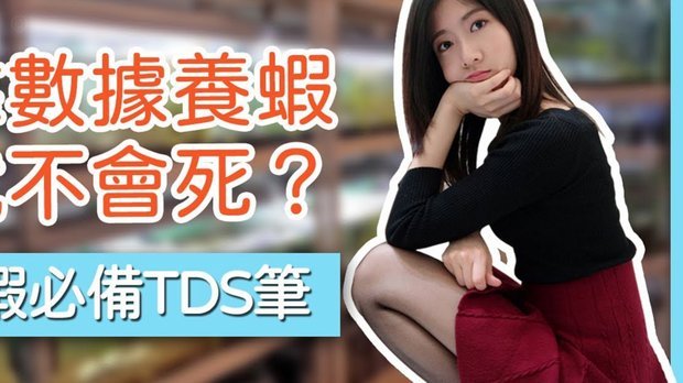 鹿优选套现手续费揭秘：多因素影响动态解析