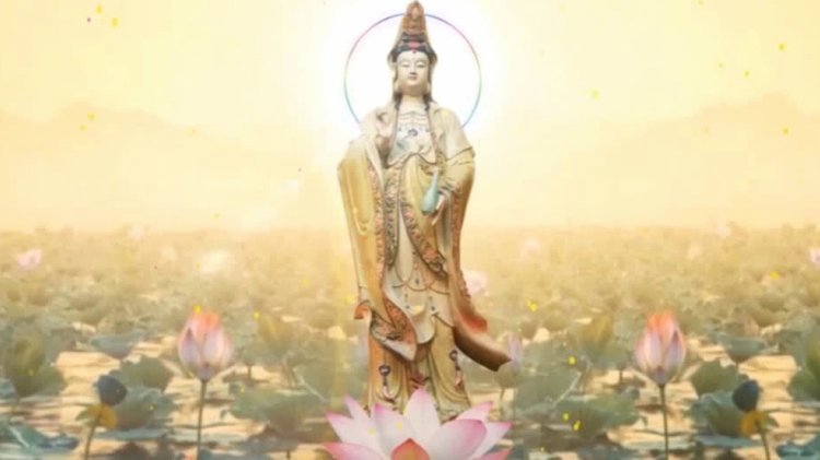 花呗的官方联系方式解析