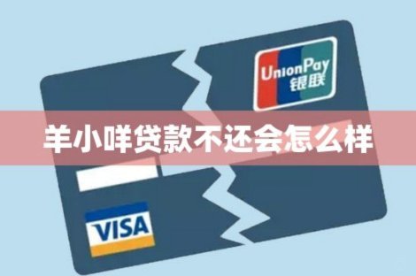 羊小咩：提升额度的科学指南