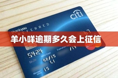 羊小咩借款额度提升